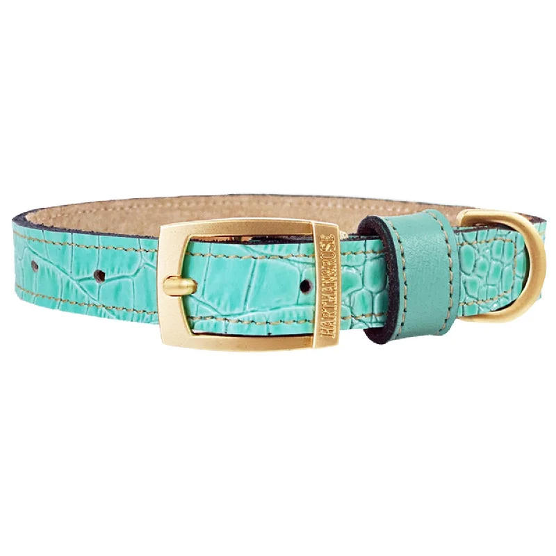  . **Cat toy cat teaser**Cayman Collection Dog Collar Turquoise