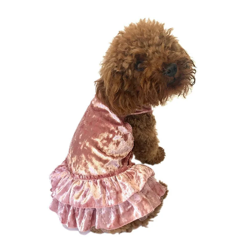 XX brand pet fashionCrushing On You Dog Dress Blush Metallic Velvet