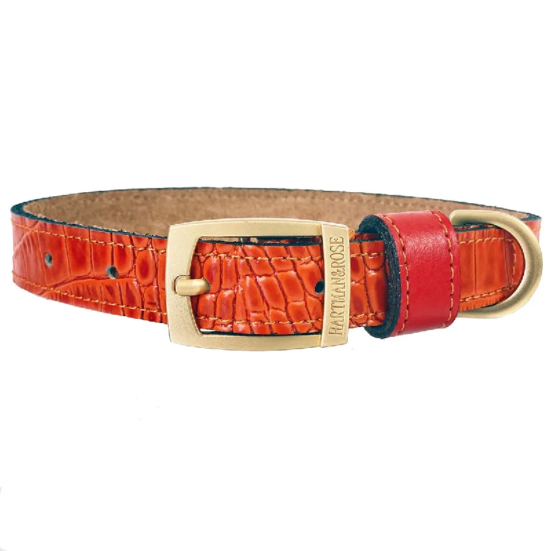  . **Cat backpack space capsule**Cayman Collection Dog Collar Tangerine