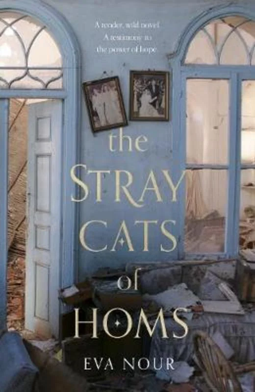 - Air box TSA certified check-inThe Stray Cats of Homs