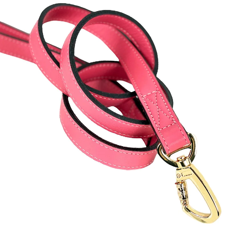 ### General pet accessoriesDaisy Collection Dog Leash Petal Pink/Gold