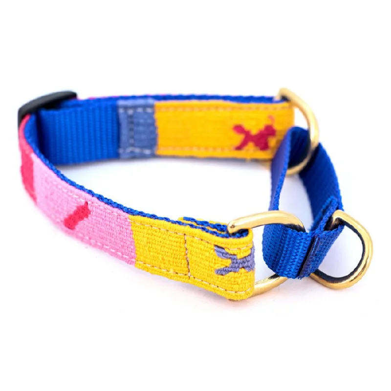  . **Pet traction rope is anti-explosion**Starry Day Mango Martingale Dog Collar