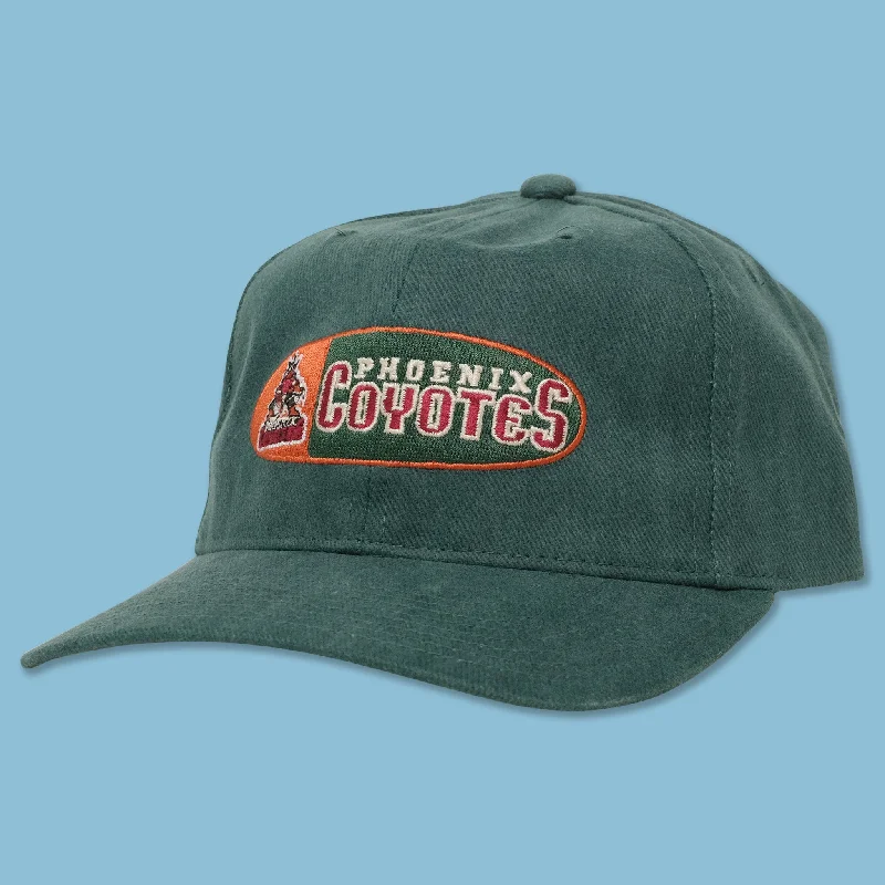 - ​​Pet toys under    yuanVintage DS Phoenix Coyotes Strapback
