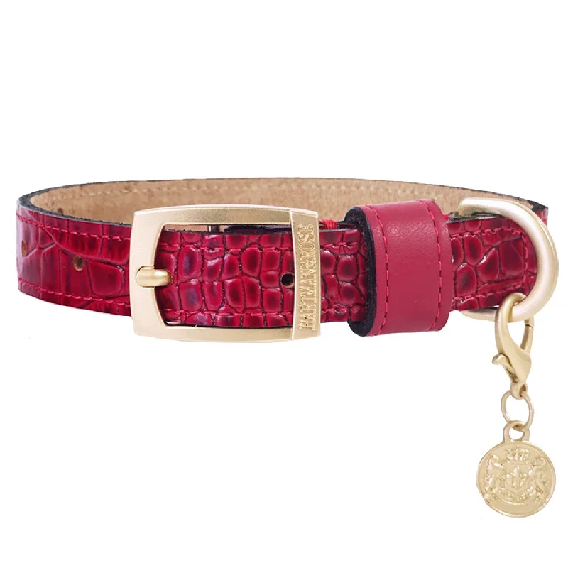  . **Cat nest winter warmth**Cayman Collection Dog Collar Ferrari Red