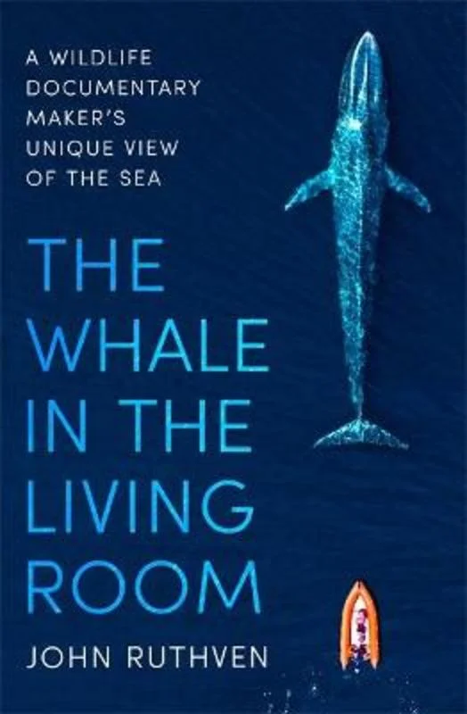 - Automatic temperature adjustment cat bedThe Whale in the Living Room