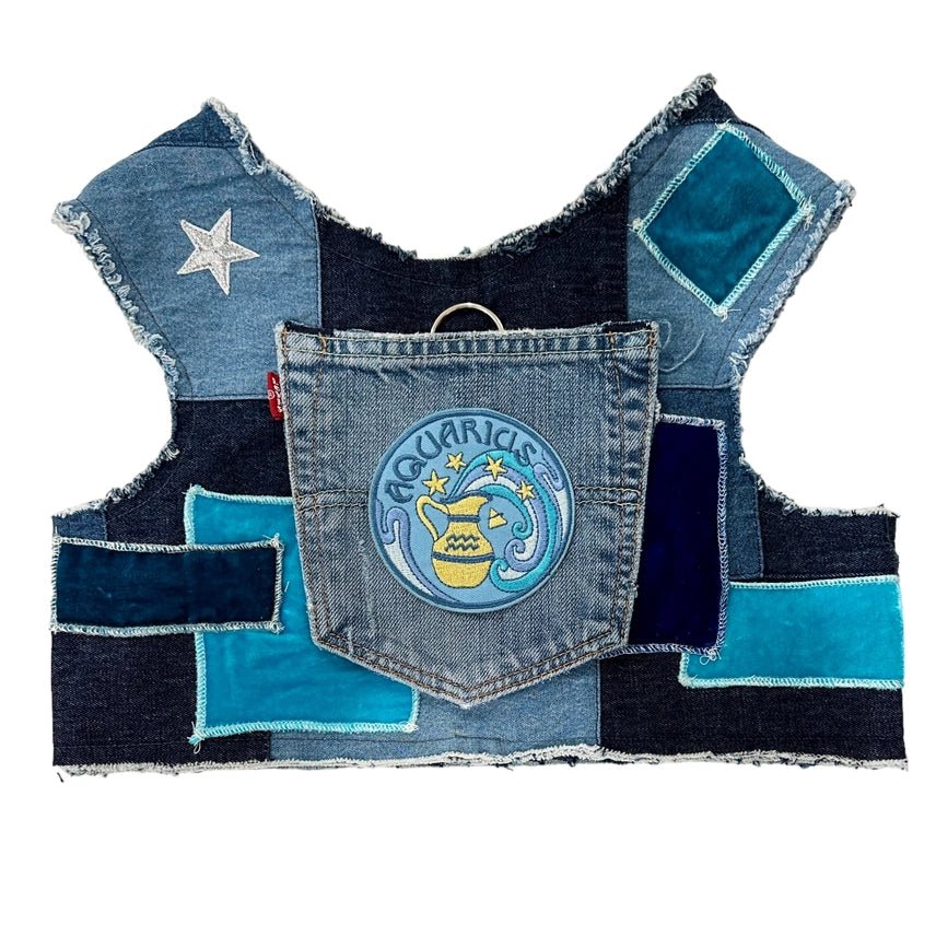 XX brand pet fashionAstrological Expressions Aquarius Up-Cycled Harness