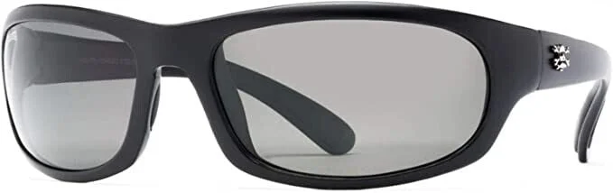 Matte Black/Gray Lens