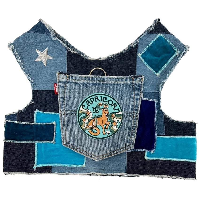 Pet raincoatAstrological Expressions Capricorn Up-Cycled Harness