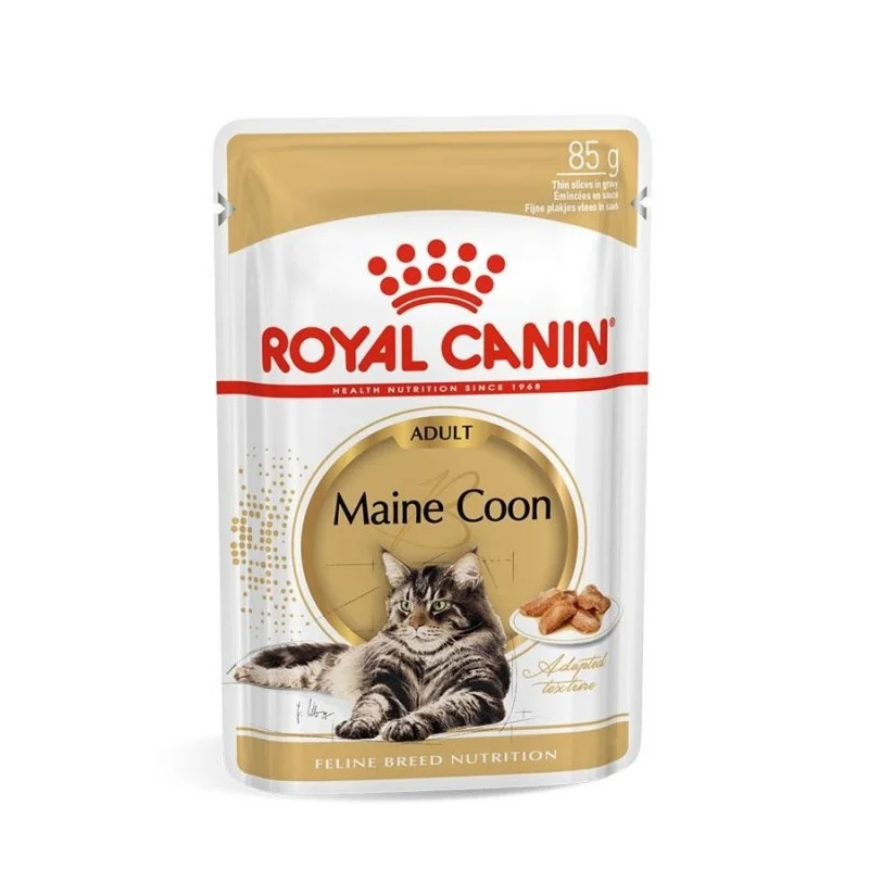 . **Price and Purchasing** Royal Canin Feline Breed Nutrition Maine Coon Adult Gravy Pouch Cat Food . **Price and Purchasing** Royal Canin Feline Breed Nutrition Maine Coon Adult Gravy Pouch Cat Food