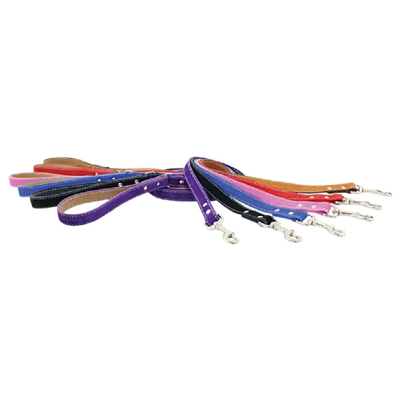  . **Dog collar is luminous and reflective**Saratoga Suede Dog Leash