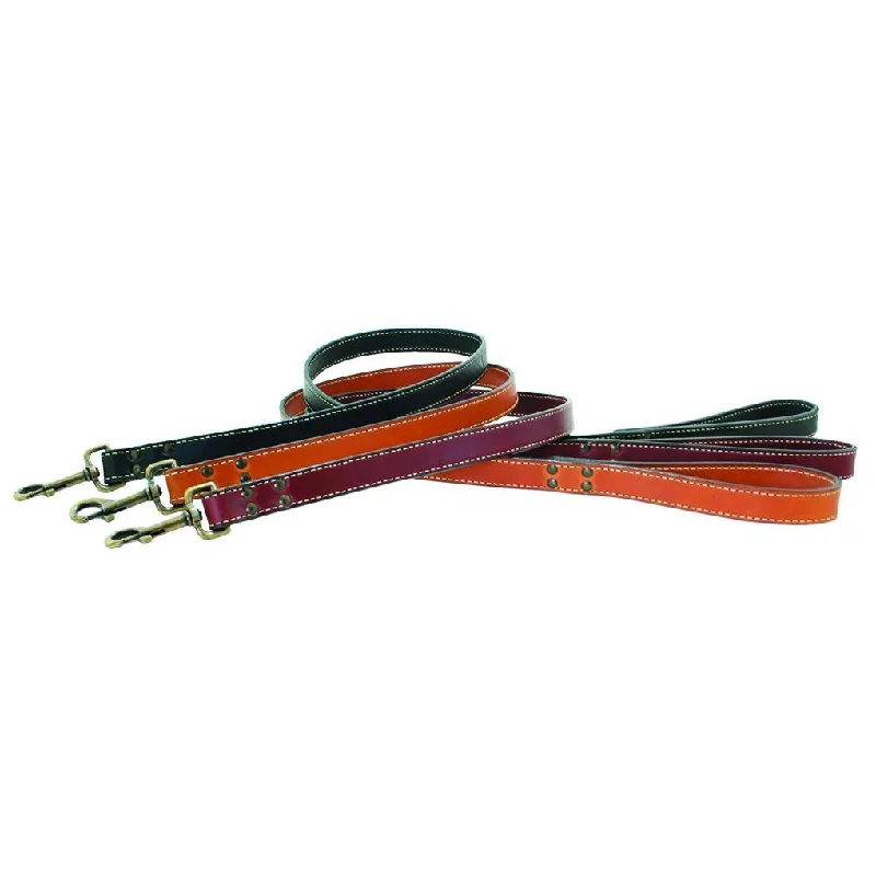  . **Cat food bowl anti-overturning**Heirloom Dog Leash