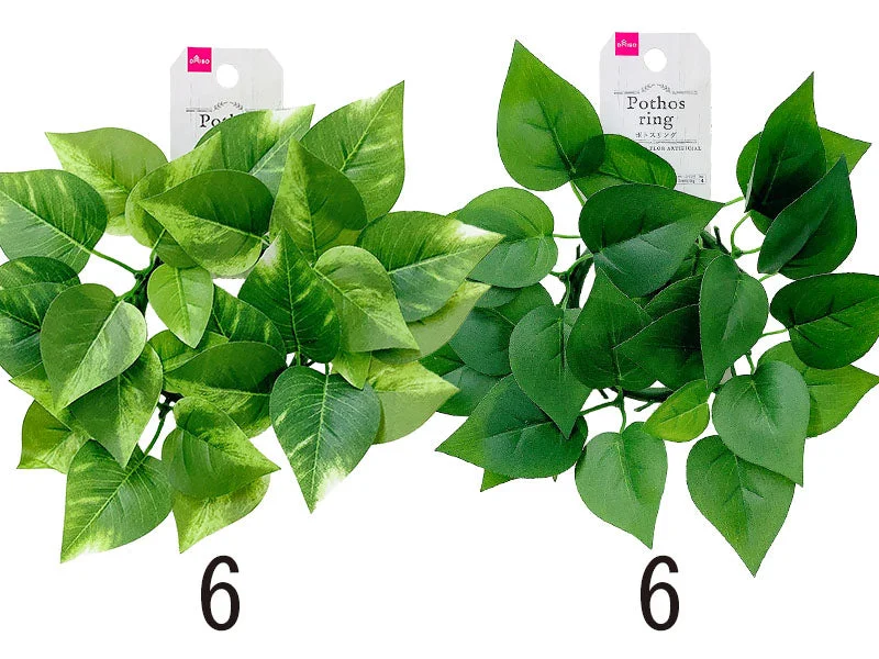 - Foldable and portable cat bagPothos Ring