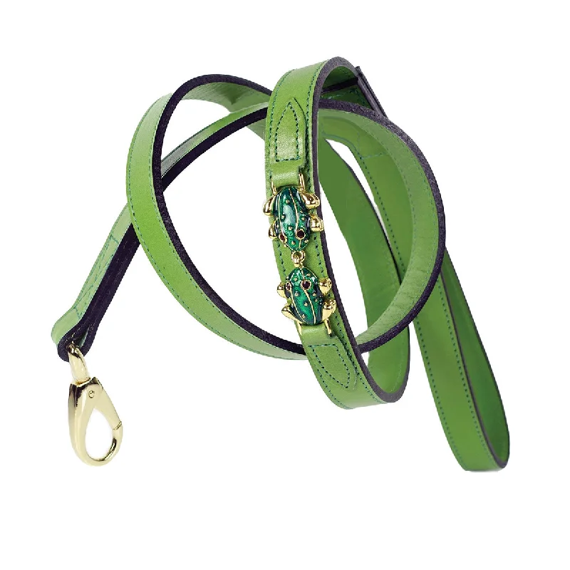  . **Cat drinking fountain filter model**Leap Frog Collection Dog Leash Lime Green