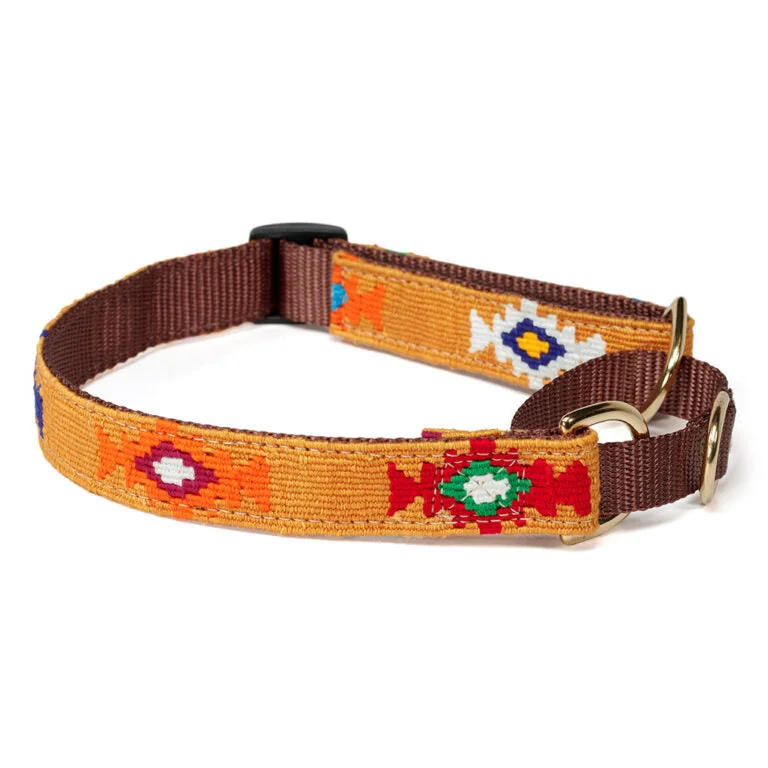  . **Dog raincoat is waterproof and windproof**God's Eye Gold Martingale Dog Collar